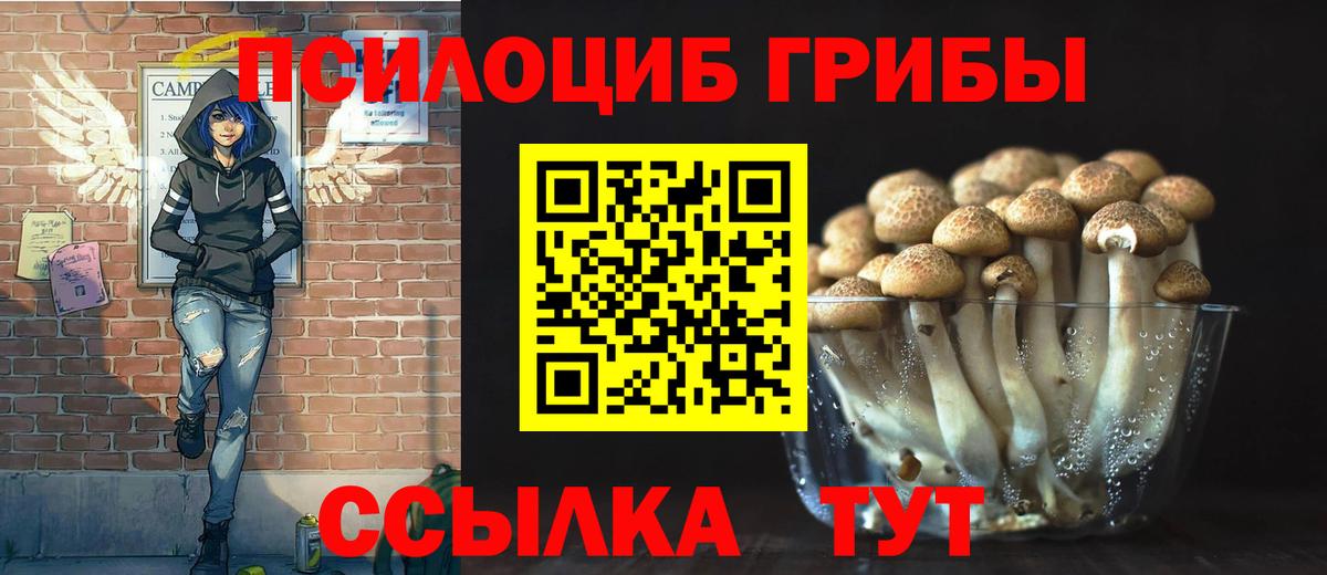 Галлюциногенные грибы Psilocybe Нефтеюганск